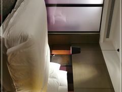 -南京禄口机场雅高铂尔曼大酒店