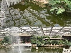 -九天休闲谷