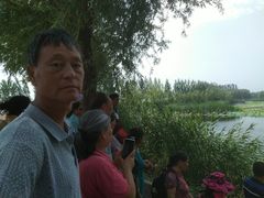 -白洋淀景区