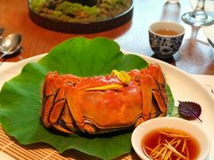 -觀芷隐轩