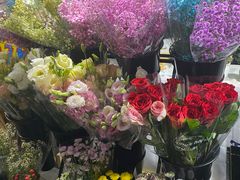 -上海月星家居(澳门路店)