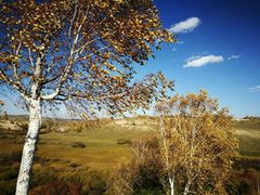 -塞罕坝国家级自然保护区