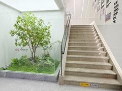 -深圳麦芽口腔医院(罗湖总院)