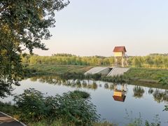 景点-东郊湿地公园