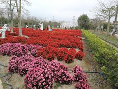 -广东花都香草世界旅游度假区