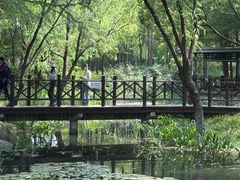 -尚贤河湿地