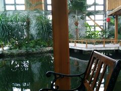 游乐设施-南宫五洲植物乐园