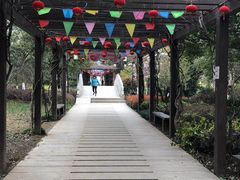 -白马涧龙池景区