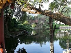 -华雅花园大酒店