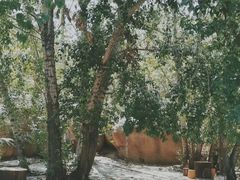 -云岫谷游猎自然风景区