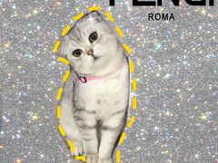 -About Bistro關於·泰式家庭料理