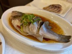 江东鲈鱼炖姜丝-永兴餐厅(复兴中路店)