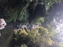 iphone_upload_pic-十八棵（老龙井）御茶园(老龙井店)