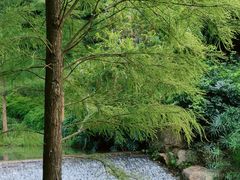 -云溪植物园