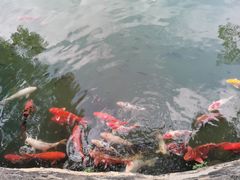-海上田园