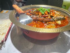 -肥家大排档(天河体育西店)