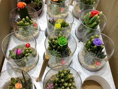 -循礼门鲜花花市(武汉循礼门店)