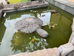 -平湖九龙山旅游度假区