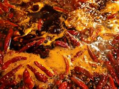 中辣红油锅底-酒友老火锅(渝中店)