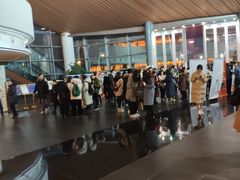-合肥大剧院