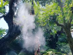 -Chom Cafe and Restaurant