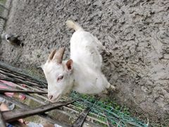 -长兴太湖图影湿地文化园