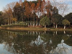 -杭州城北体育公园