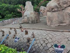 -哈尔滨北方森林动物园