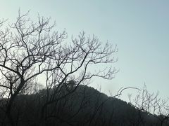 -泰山风景名胜区