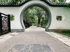 -桃花堤公园