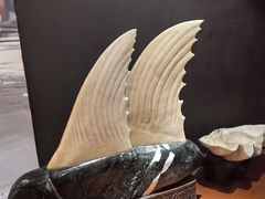 -金狮麟·新豫菜(杏石口路店)