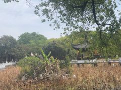 -丝绸小镇荻港古村