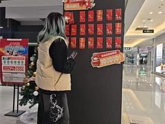 -红星美凯龙(上海沪南店)