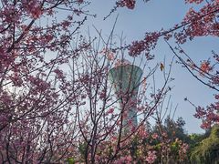 -狐尾山公园