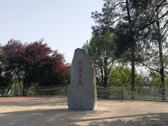 -铁山坪森林公园