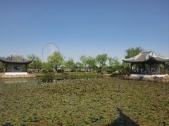 -无锡蠡湖国家湿地公园-蠡园