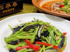 -四季春(美食街店)