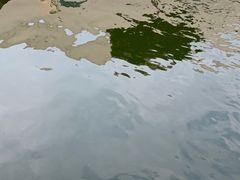 -DGE季风钓虾营地·团建·聚会