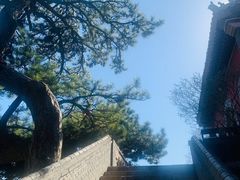 -妙峰山风景名胜区