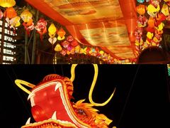 -长鹿旅游休博园