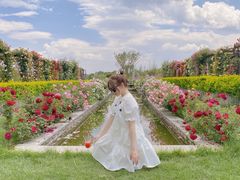 -猫米花园