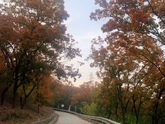 -红光山