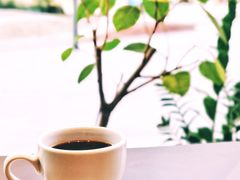 -Seesaw Coffee(苏州中心店)
