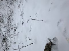 -九峰山