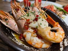 -Apollo·西班牙小酒馆(安福路店)