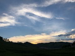 -关山草原
