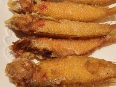 -潮人姐妹轩(海宁路店)