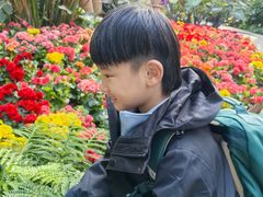 -国家植物园南园