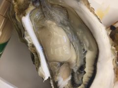 -港畔赶海蒸汽海鲜烧烤自助(仙螺岛店)