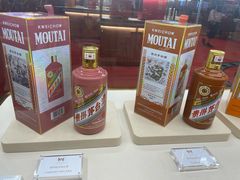 -影汇之星8字形摩天轮
